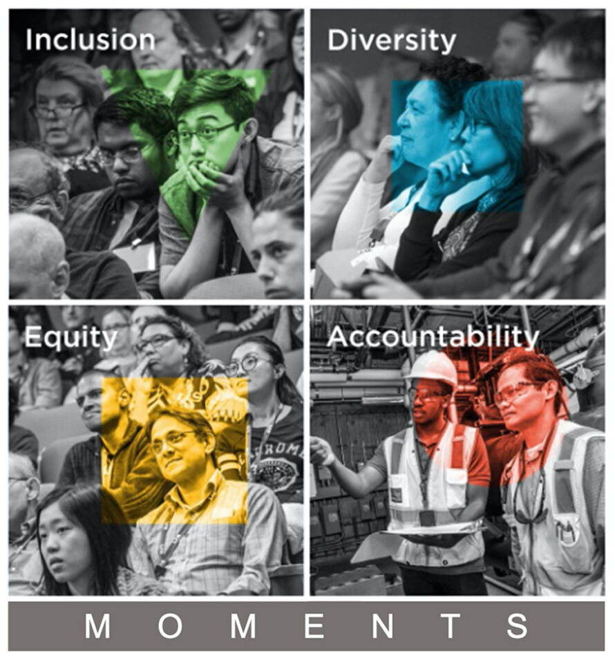 Branding for a newsletter section titled “Diversity, Equity and Inclusion Moments”