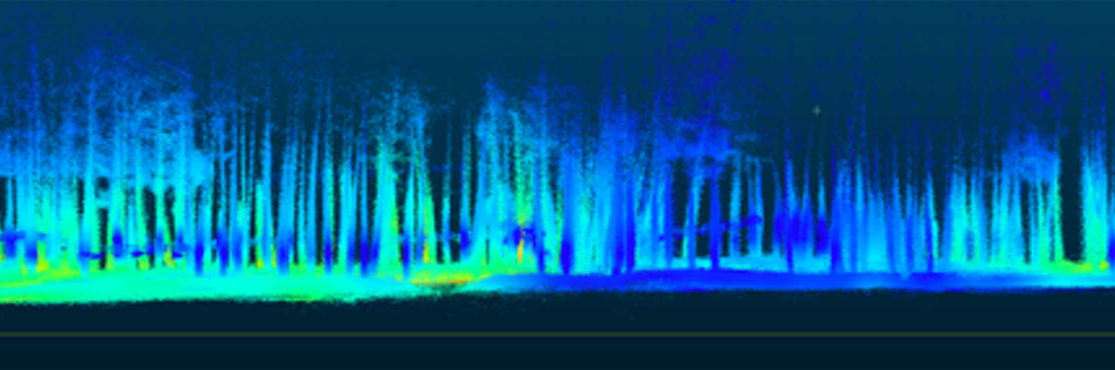 LiDAR (Light Detection and Ranging) scan of a forested area.