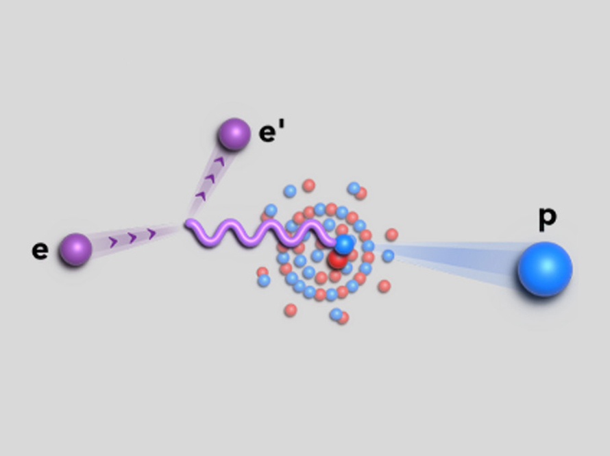 This schematic of the reaction shows an electron (purple) scattering from a nucleus by emitting a (purple) virtual photon, which knocks out a proton (blue).