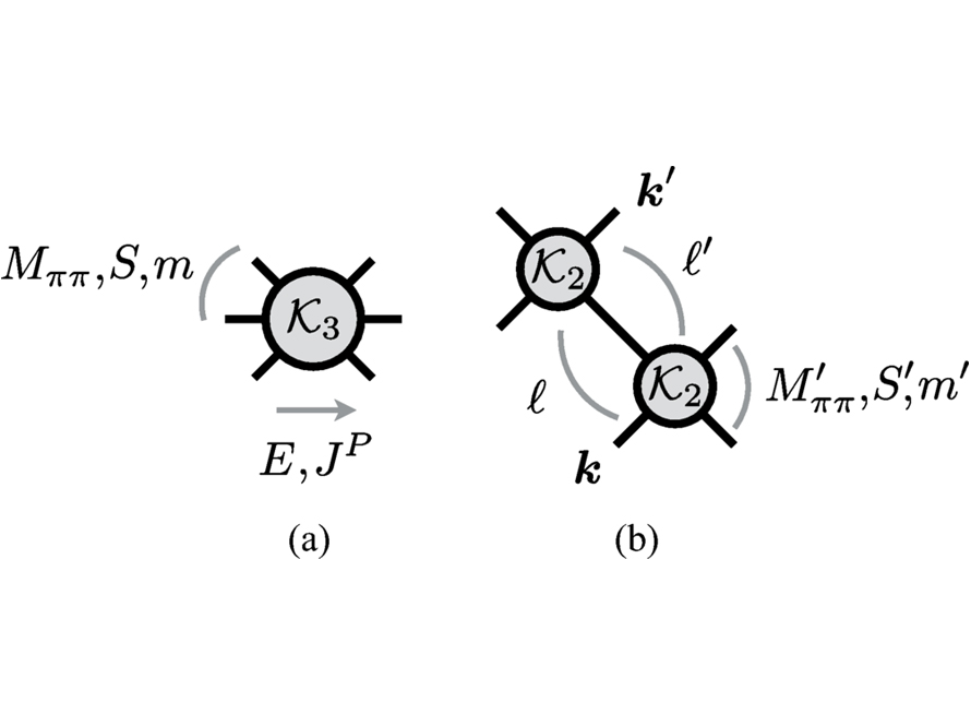 Representative diagrams contained in the nonperturbative scattering amplitude, where the black lines represent pions.